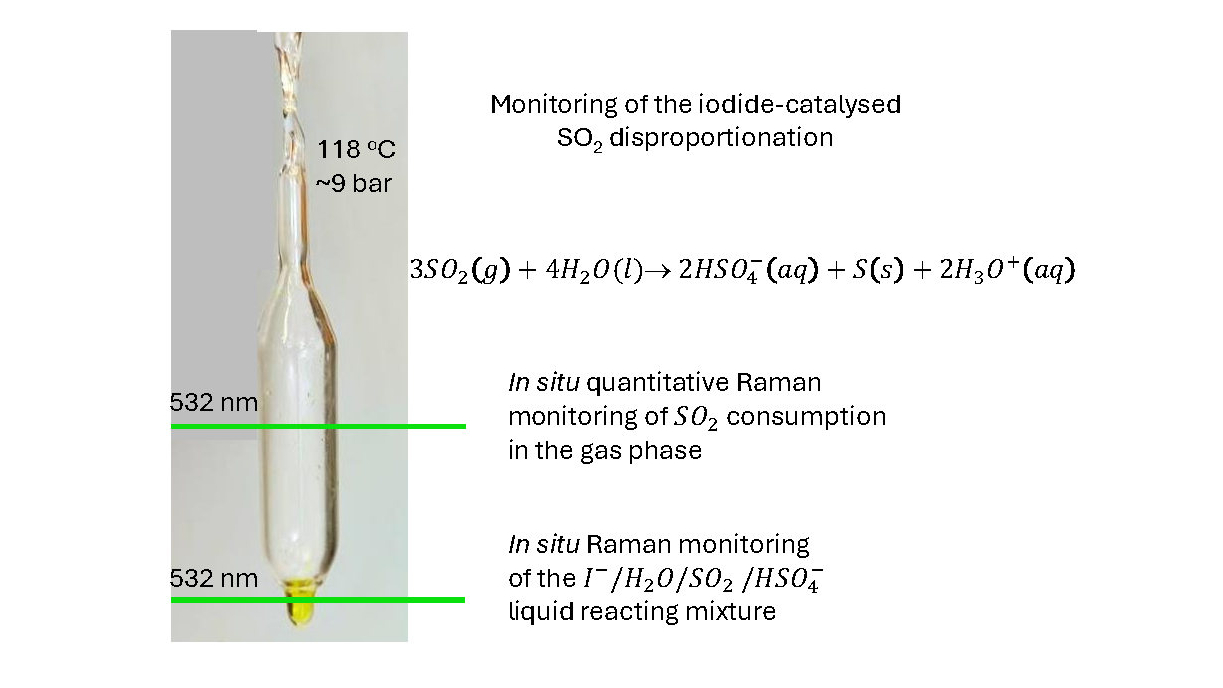 Monitoring of the iodide-catalysed SO₂ disproportionation. Credit: UPAT